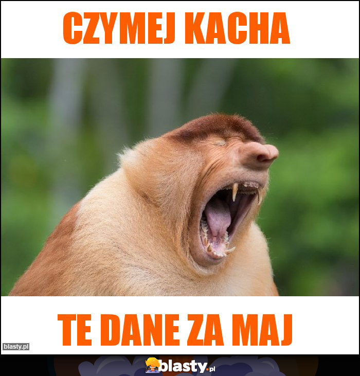 CZYMEJ KACHA