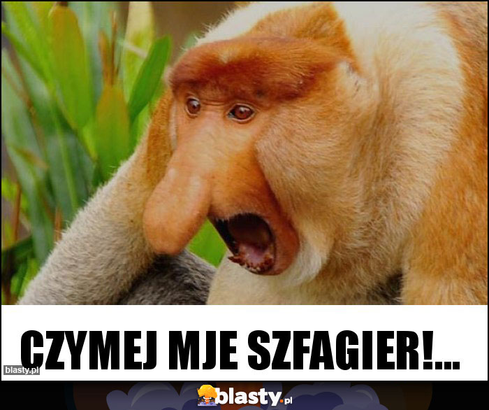 CZYMEJ MJE SZFAGIER!...