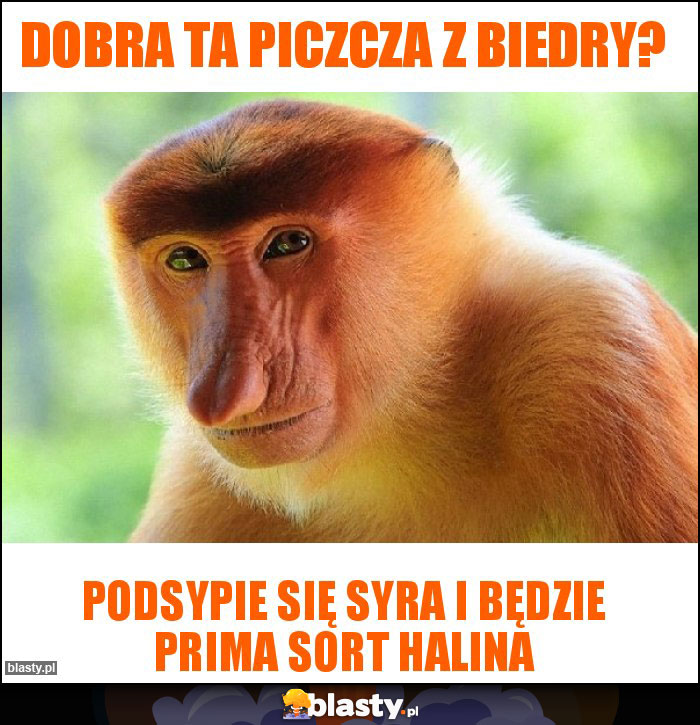 Dobra ta piczcza z biedry?