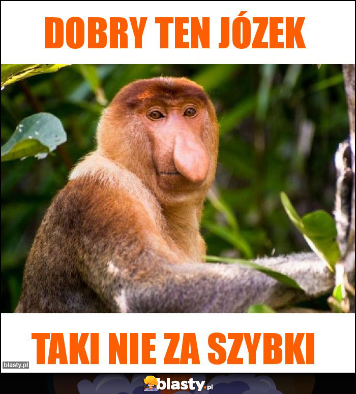 Dobry ten Józek