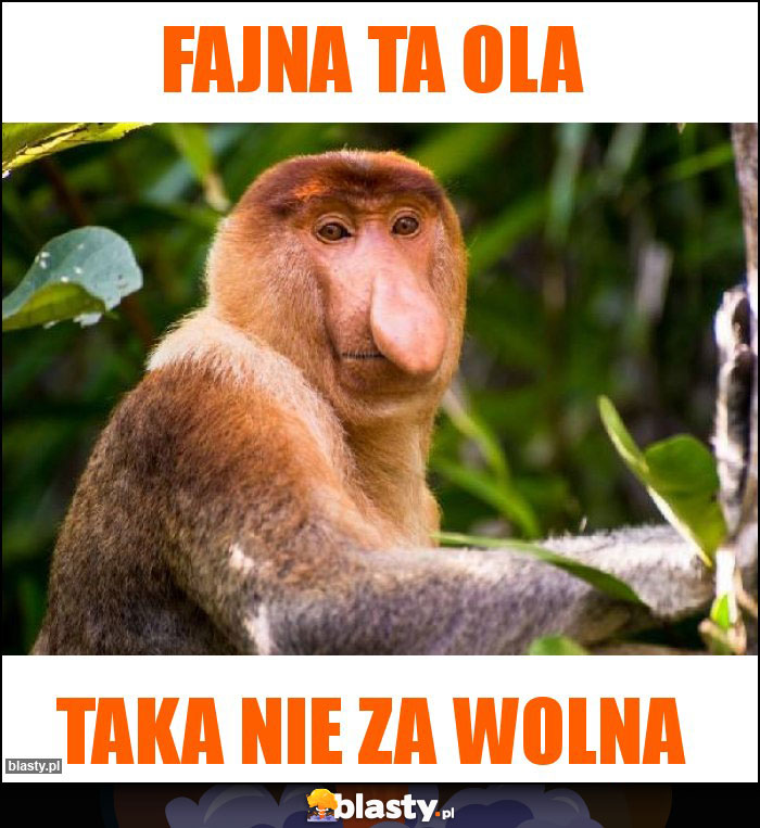 FAJNA TA OLA