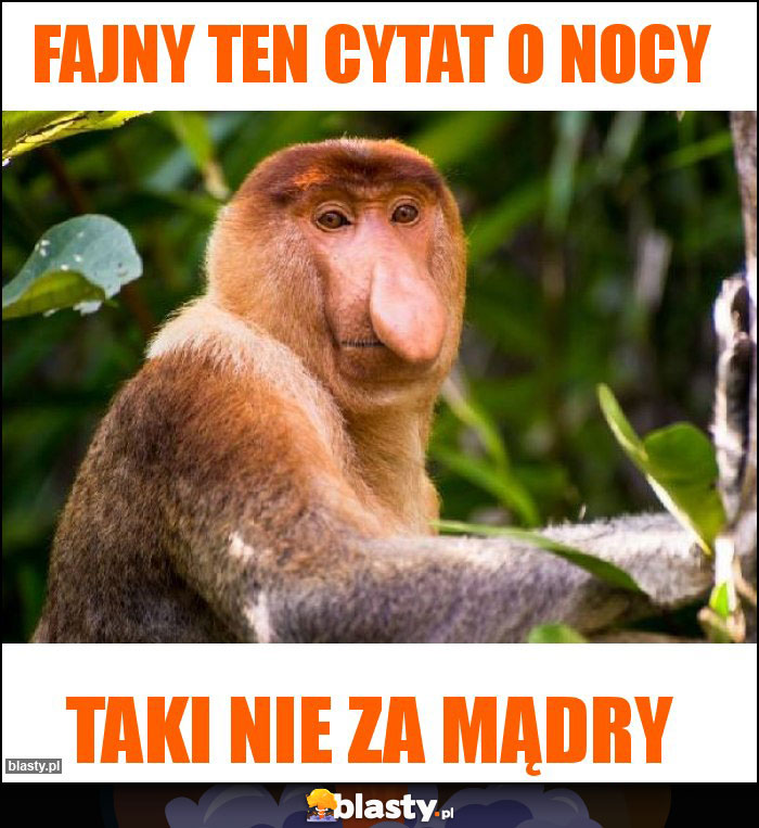 Fajny ten cytat o nocy