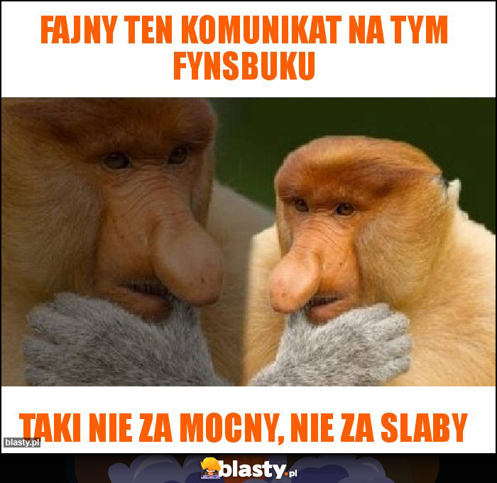 Fajny ten komunikat na tym fynsbuku