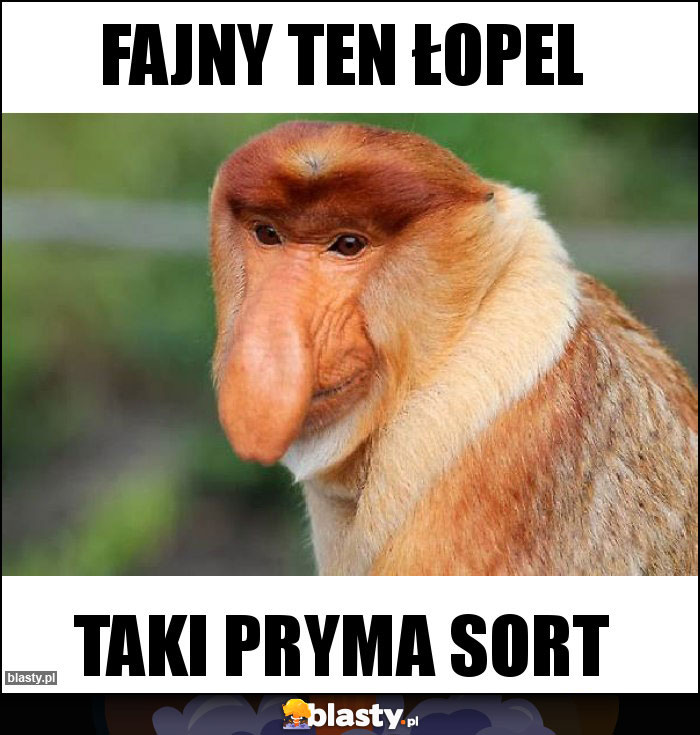 Fajny ten Łopel