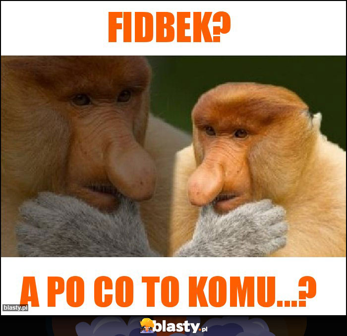 FIDbek?