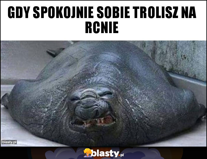 Gdy spokojnie sobie trolisz na rcnie