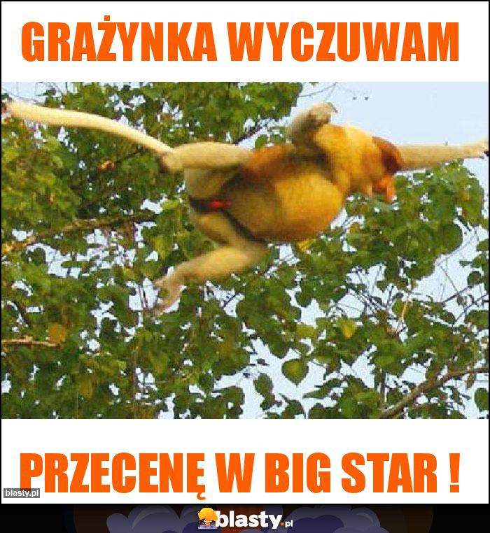 Grażynka wyczuwam