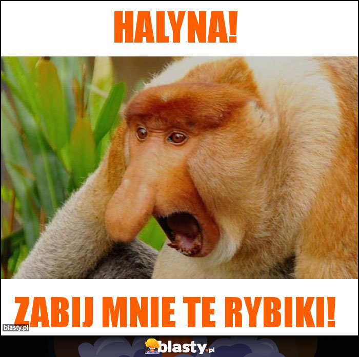 Halyna!