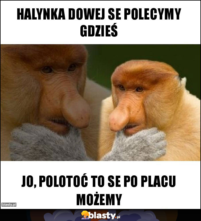 Halynka dowej se polecymy gdzieś