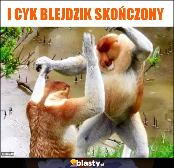 I cyk blejdzik skończony