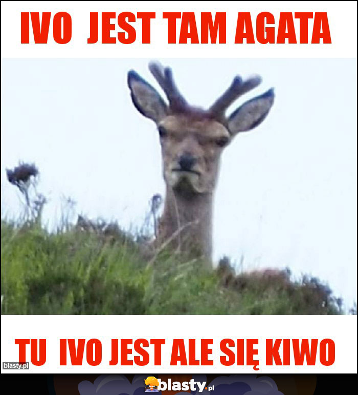 IVO  Jest tam Agata