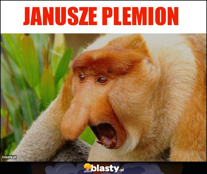 Janusze Plemion