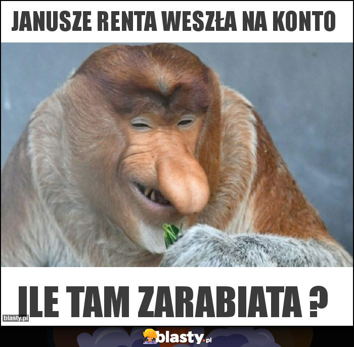 Janusze Renta weszła na konto