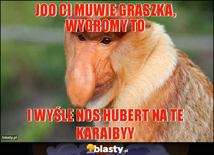 Joo Ci muwie graszka, wygromy to