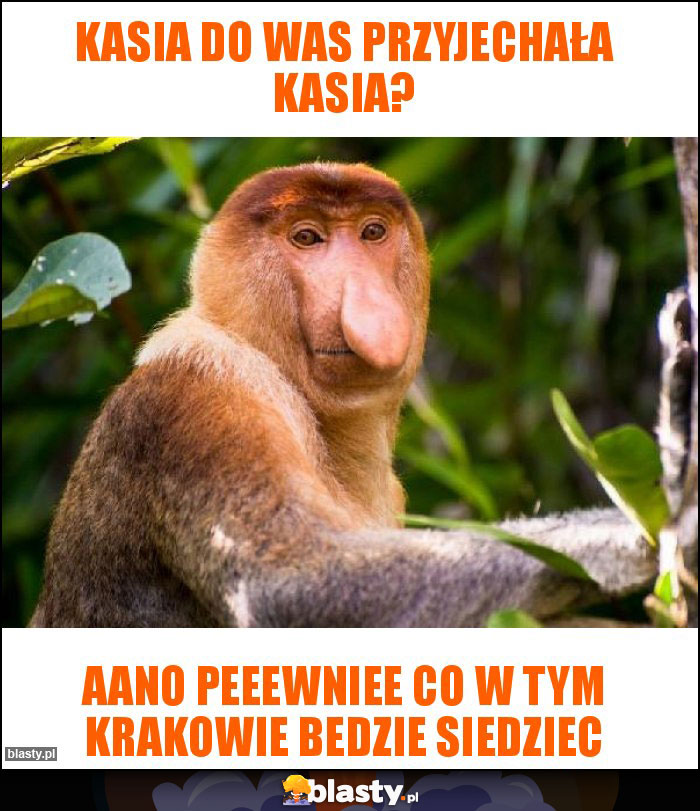 Kasia do was przyjechała kasia?