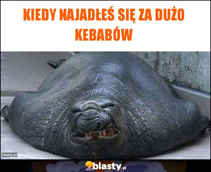 Kiedy najadłeś się za dużo kebabów