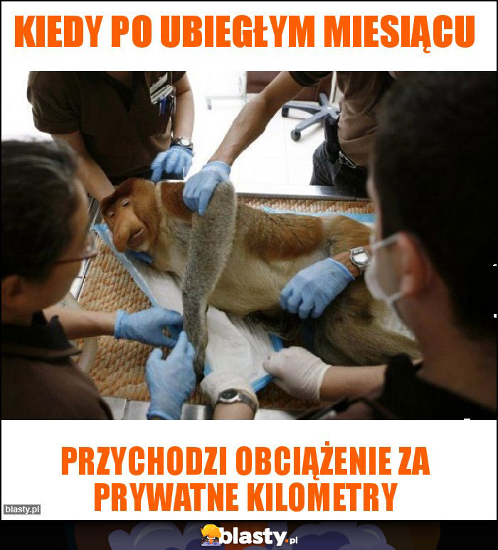 Kiedy po ubiegłym miesiącu