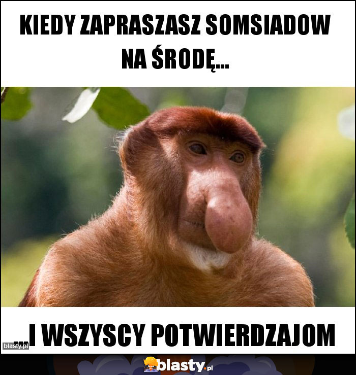 Kiedy zapraszasz somsiadow na środę...