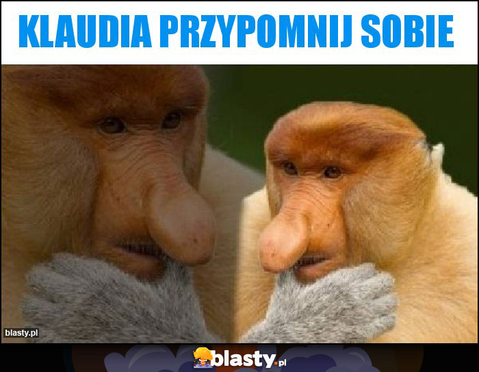 KLAUDIA PRZYPOMNIJ SOBIE