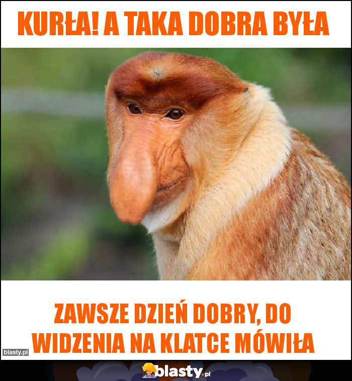 Kurła! A taka dobra była