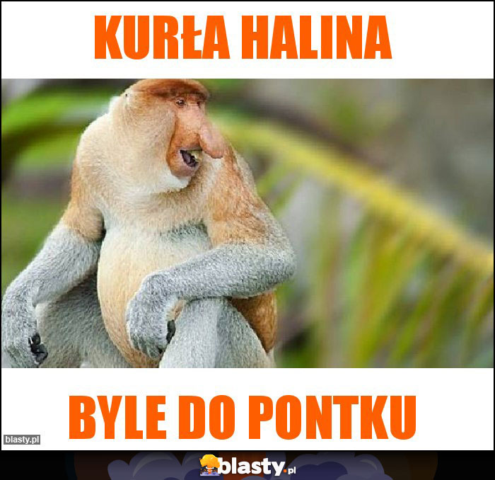 Kurła Halina