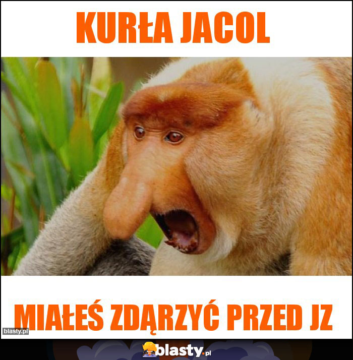 Kurła Jacol