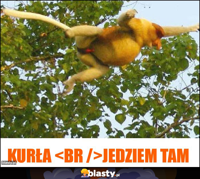 Kurła 
Jedziem tam