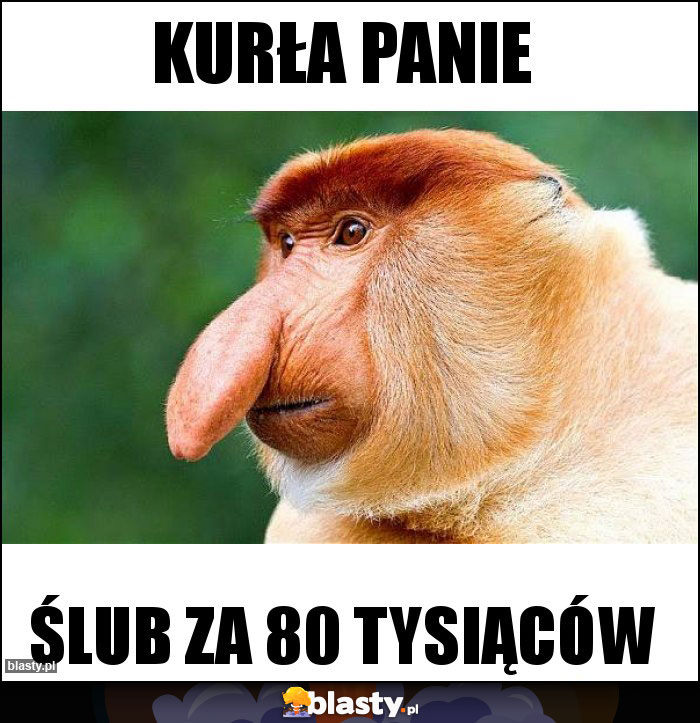 Kurła panie