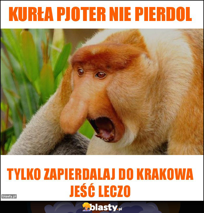 Kurła Pjoter Nie pierdol