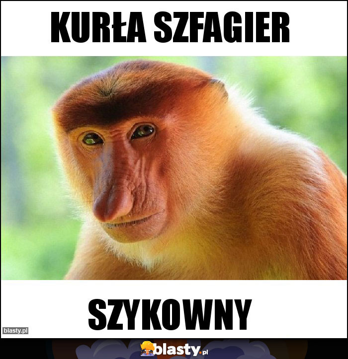 Kurła Szfagier