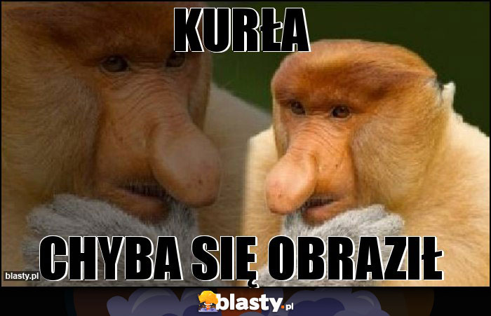 Kurła