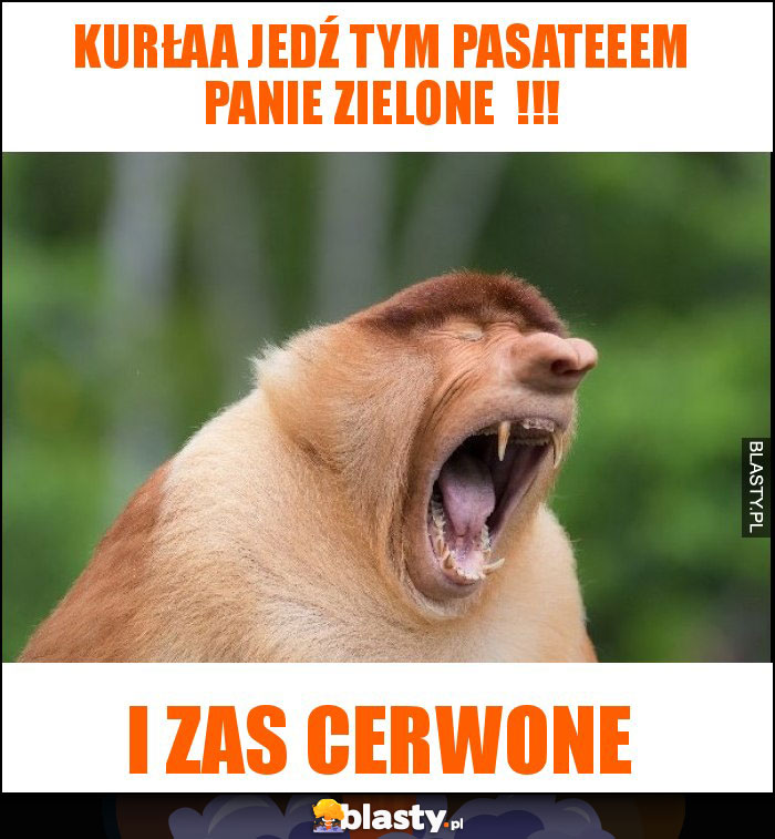 kurłaa jedź tym pasateeem panie zielone  !!!