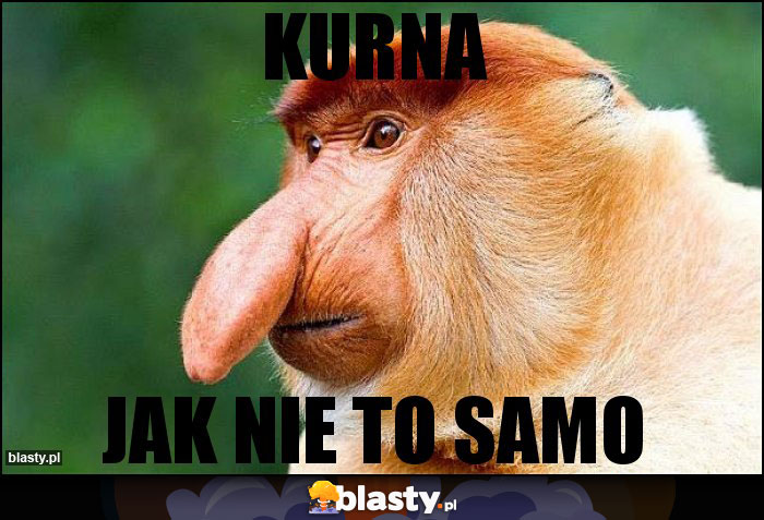 kurna