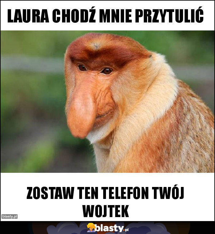 Laura Chodź mnie przytulić