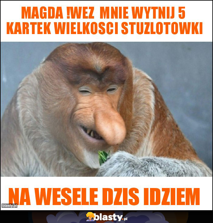 MAGDA !WEZ  MNIE WYTNIJ 5  KARTEK WIELKOSCI STUZLOTOWKI