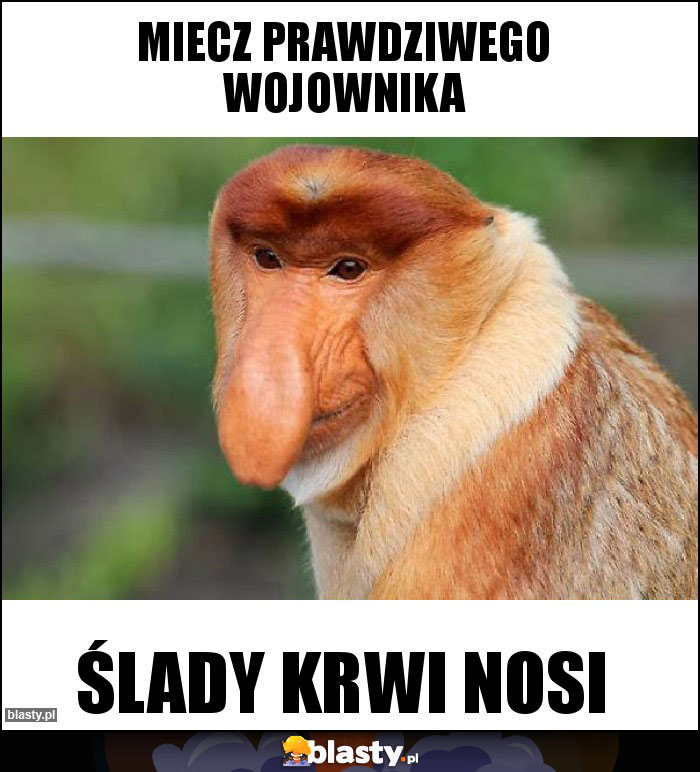 miecz prawdziwego wojownika