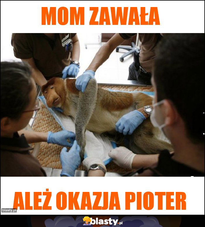 MOM ZAWAŁA