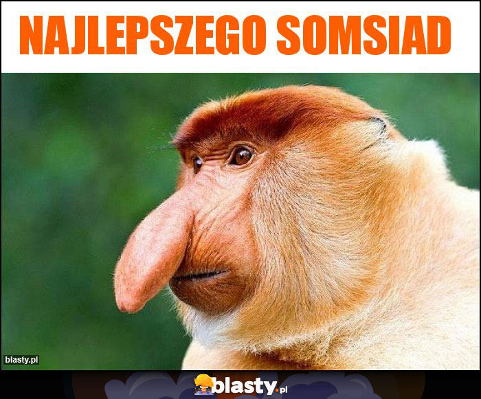 Najlepszego somsiad