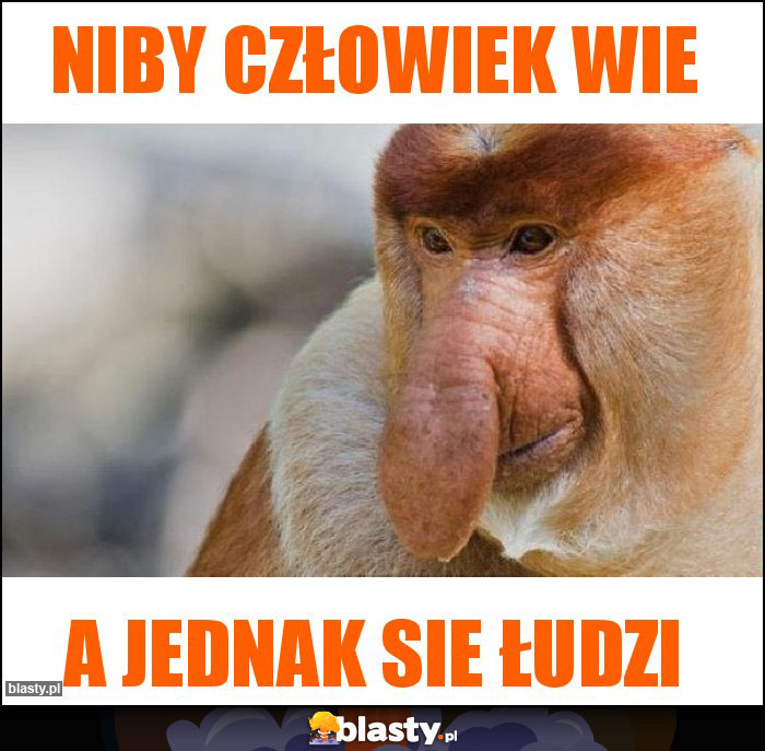 Niby człowiek wie