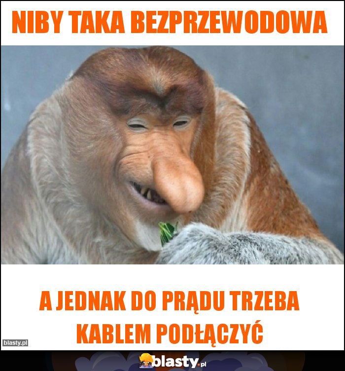 Niby taka bezprzewodowa