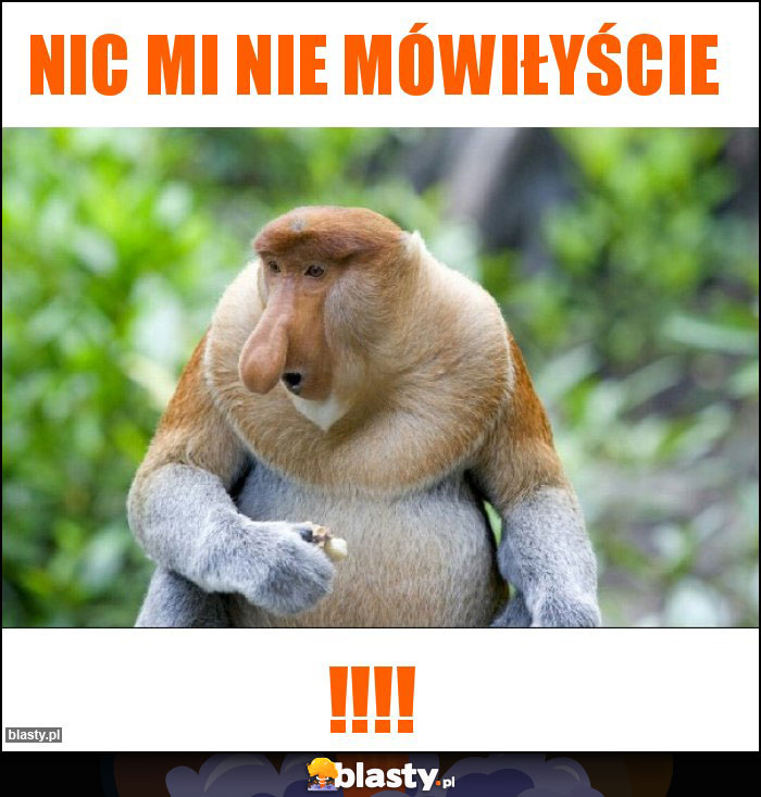 nic mi nie mówiłyście