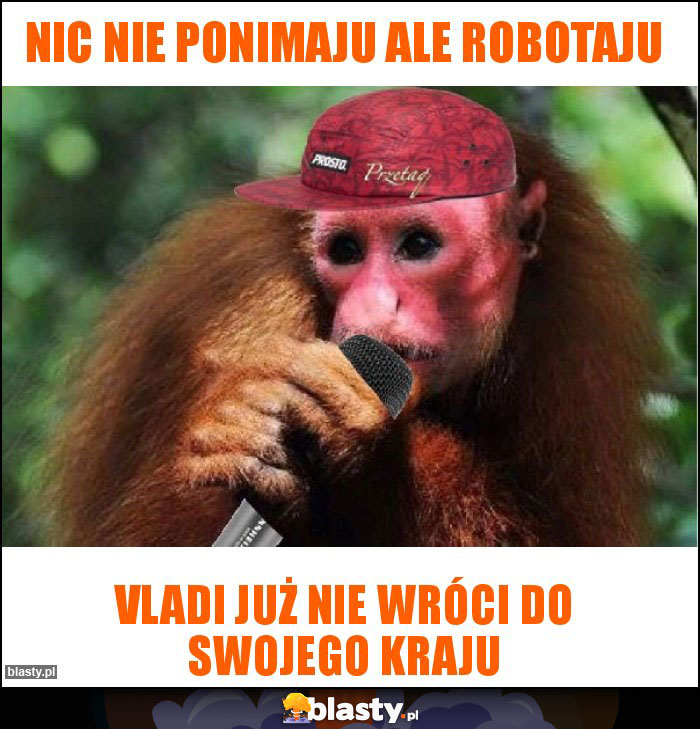 Nic nie ponimaju ale robotaju