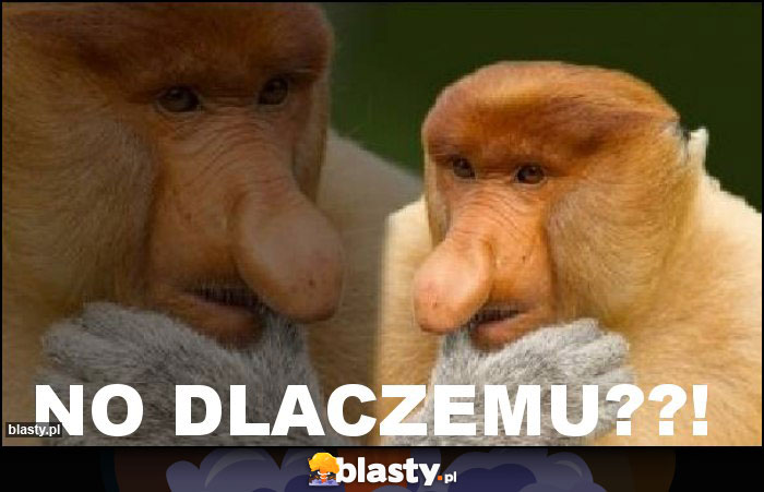 NO DLACZEMU??!