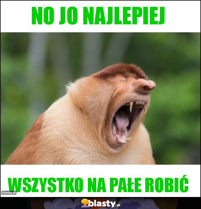 no jo najlepiej