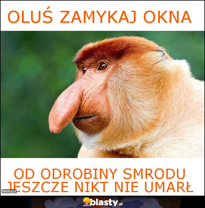 oluś zamykaj okna