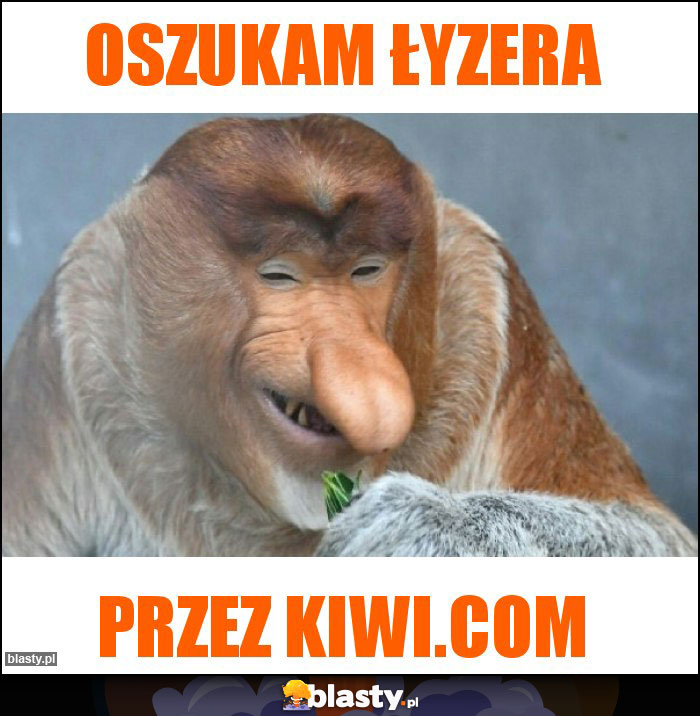 OSZUKAM ŁYZERA