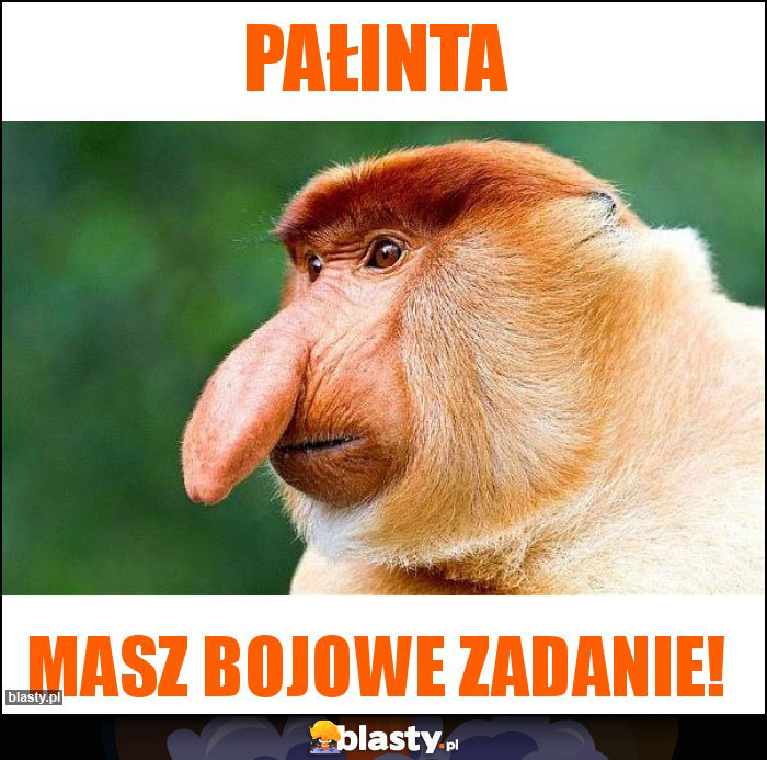 Pałinta