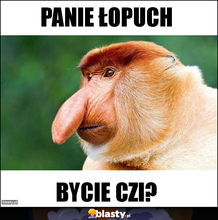 Panie Łopuch