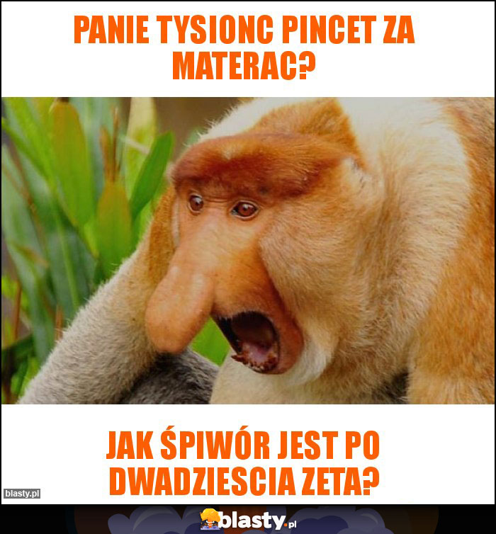 Panie tysionc pincet za materac?