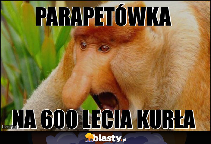 Parapetówka